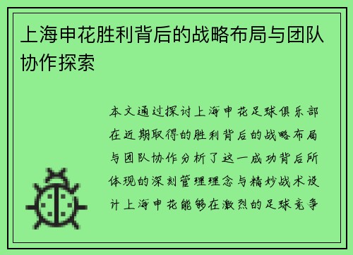 上海申花胜利背后的战略布局与团队协作探索