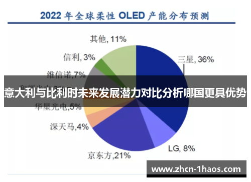 意大利与比利时未来发展潜力对比分析哪国更具优势