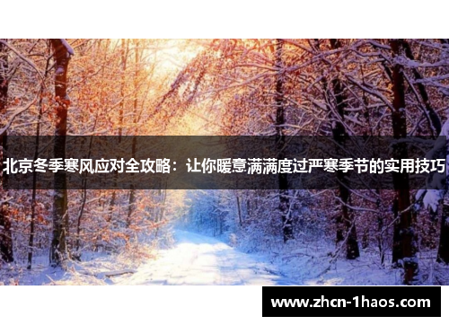 北京冬季寒风应对全攻略：让你暖意满满度过严寒季节的实用技巧