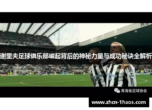 谢里夫足球俱乐部崛起背后的神秘力量与成功秘诀全解析