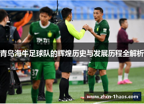 青岛海牛足球队的辉煌历史与发展历程全解析 青岛海牛足球队的辉煌历史与发展历程全解析