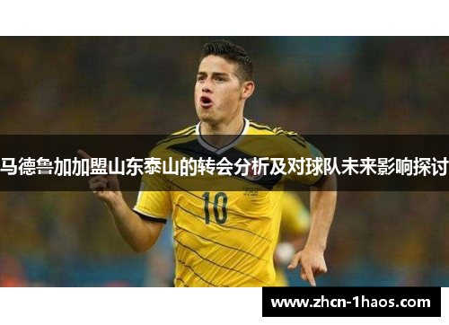 马德鲁加加盟山东泰山的转会分析及对球队未来影响探讨 马德鲁加加盟山东泰山的转会分析及对球队未来影响探讨