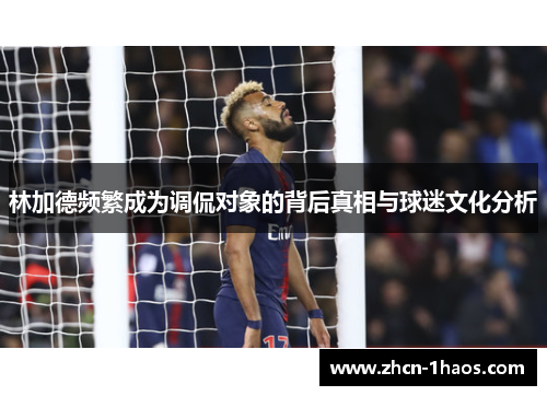 林加德频繁成为调侃对象的背后真相与球迷文化分析