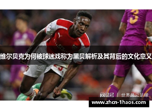 维尔贝克为何被球迷戏称为黑贝解析及其背后的文化意义