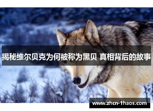 揭秘维尔贝克为何被称为黑贝 真相背后的故事 揭秘维尔贝克为何被称为黑贝 真相背后的故事