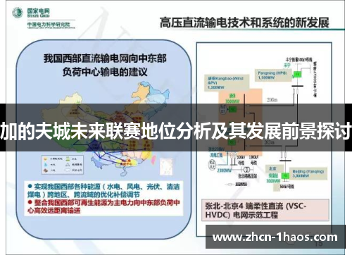 加的夫城未来联赛地位分析及其发展前景探讨