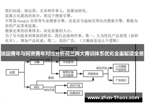 埃因青年与阿贾青年对比分析荷兰两大青训体系优劣全面解读全景