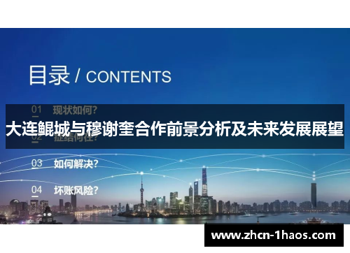 大连鲲城与穆谢奎合作前景分析及未来发展展望