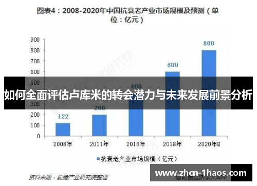 如何全面评估卢库米的转会潜力与未来发展前景分析