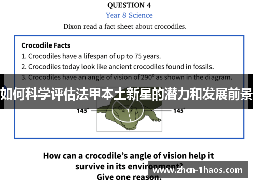 如何科学评估法甲本土新星的潜力和发展前景