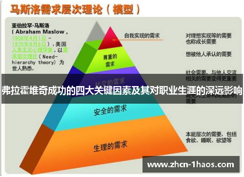 弗拉霍维奇成功的四大关键因素及其对职业生涯的深远影响
