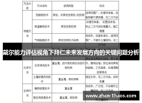 戴尔能力评估视角下拜仁未来发展方向的关键问题分析