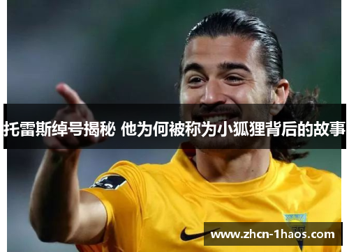 托雷斯绰号揭秘 他为何被称为小狐狸背后的故事 托雷斯绰号揭秘 他为何被称为小狐狸背后的故事