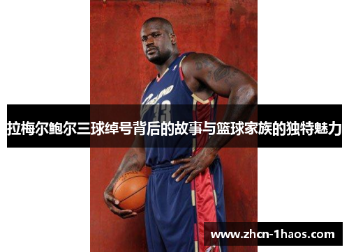 拉梅尔鲍尔三球绰号背后的故事与篮球家族的独特魅力 拉梅尔鲍尔三球绰号背后的故事与篮球家族的独特魅力